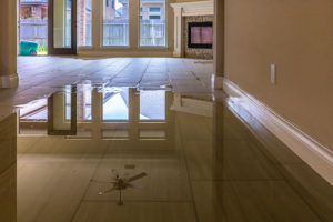 Water Damage Services Jackson MS